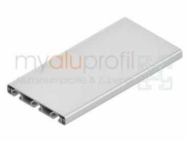Aluminiumprofil 16x120 Eco Nut 8  I-Typ