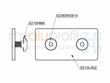 Lasche 40x80 verzinkt Satz Nut 10 B-Typ