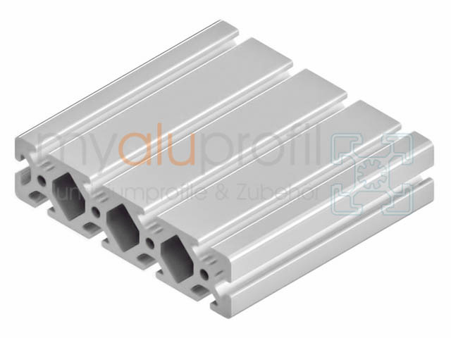 Aluminiumprofil 40x16 S (schwer) – I-Typ Nut 8, Schwarz Eloxiert, 850 Mm Länge, Für Montagesysteme